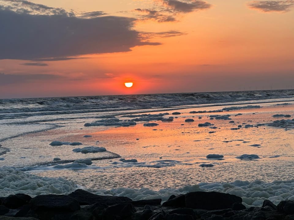 WangerRose - Familienwohnung für Groß und Klein und Hundefreunde Apartment in Friesland