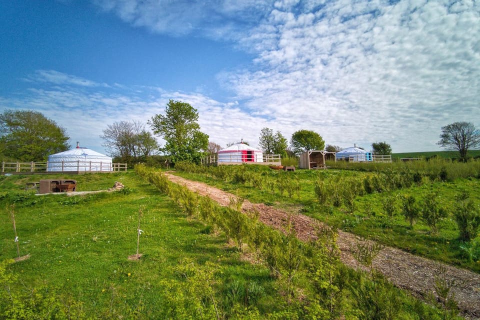 Facade/entrance, Natural landscape, Bird's eye view, Garden