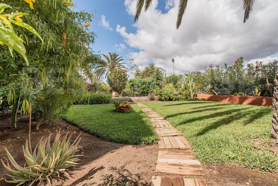 Garden view