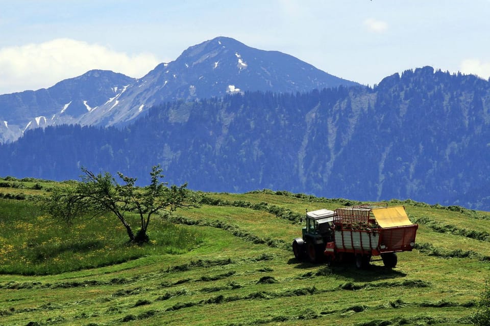Natural landscape, Hiking, Mountain view