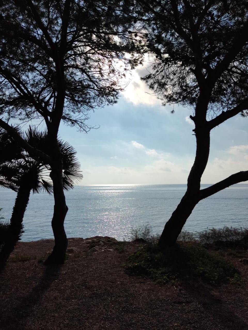 Natural landscape, Sea view