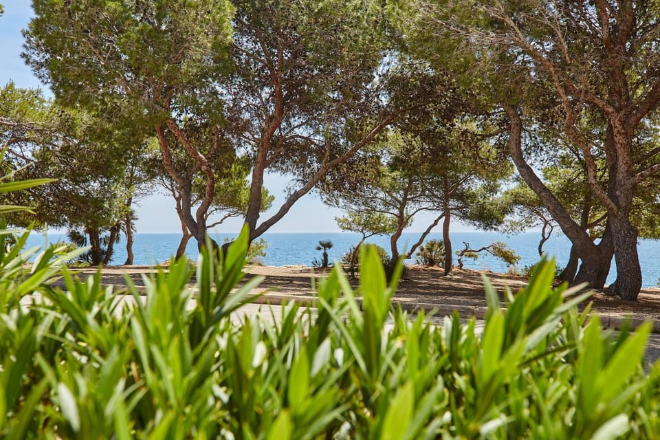 Sea view