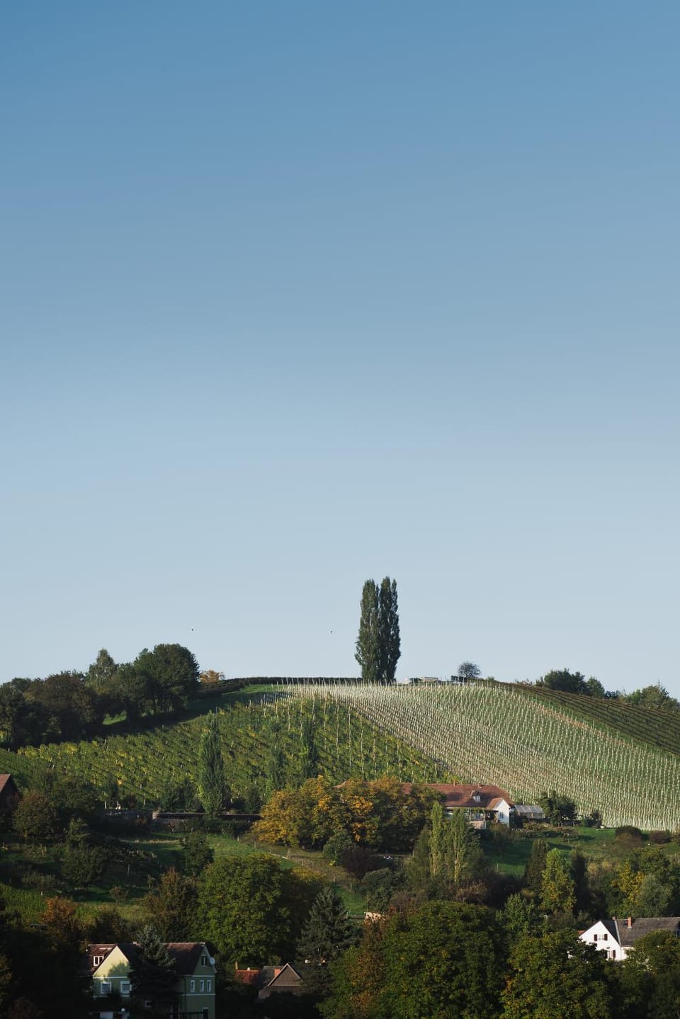 Hotel Saziani Hotel in Styria