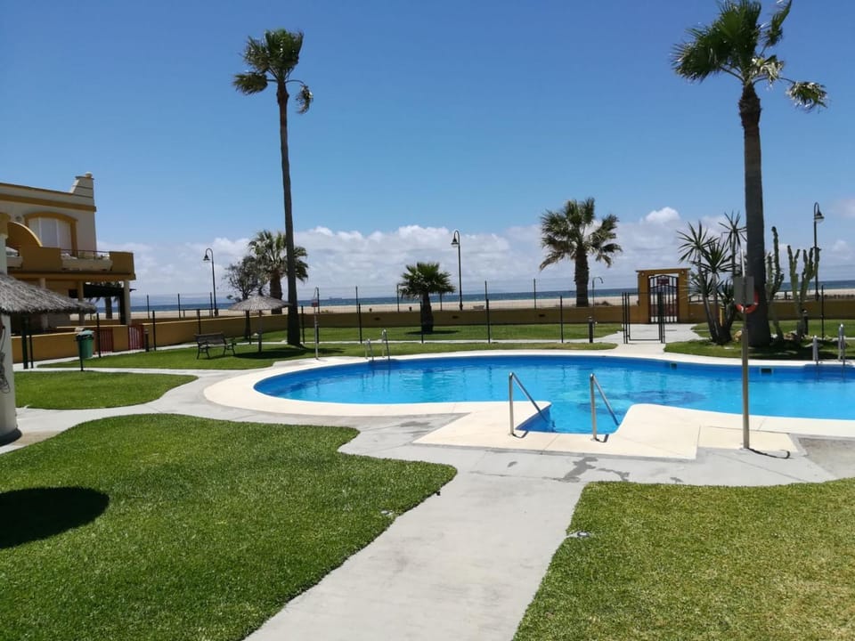Garden, Swimming pool