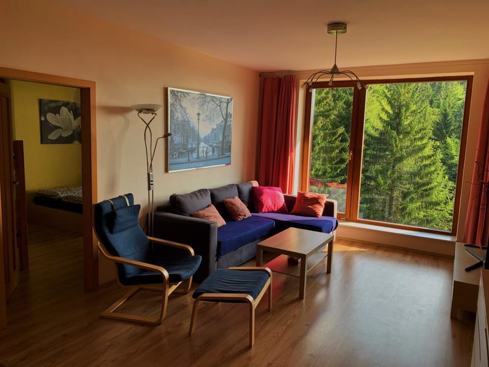 TV and multimedia, Living room, Seating area, City view, Mountain view