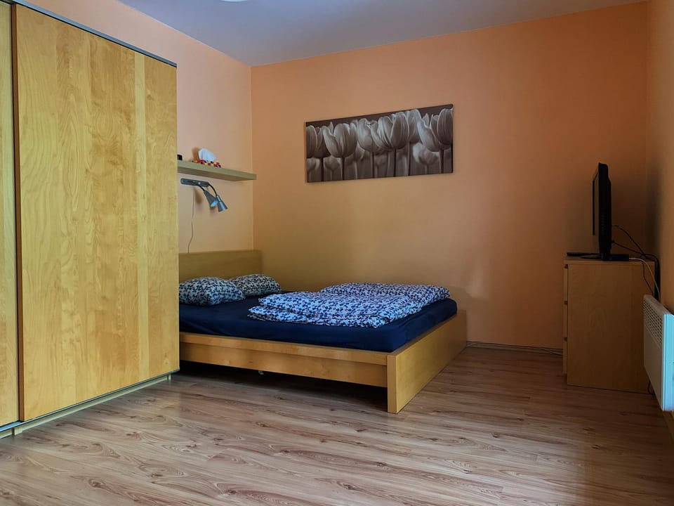 Bed, TV and multimedia, Bedroom, bunk bed