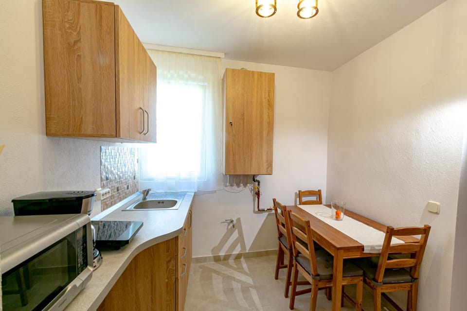 Rosenthal House Apartment in Romania