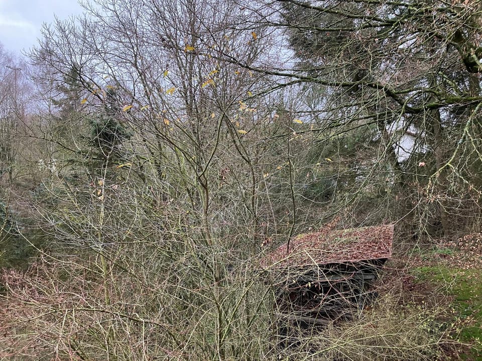 Ferienhaus-stadtkyll-eifel Beim Förster mit zwei Schlafzimmern Apartment in Stadtkyll