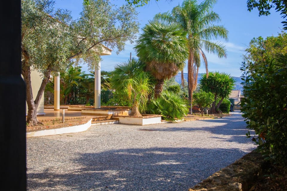 Garden view