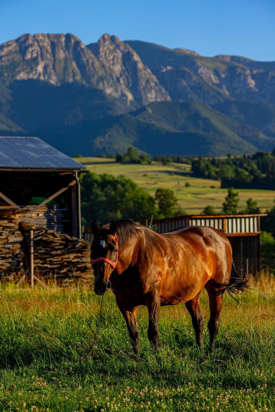 Mountain view, Mountain view