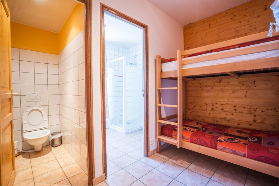 cellier 1 Apartment in Les Deux Alpes