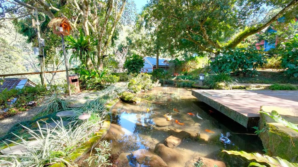 Garden, Garden view
