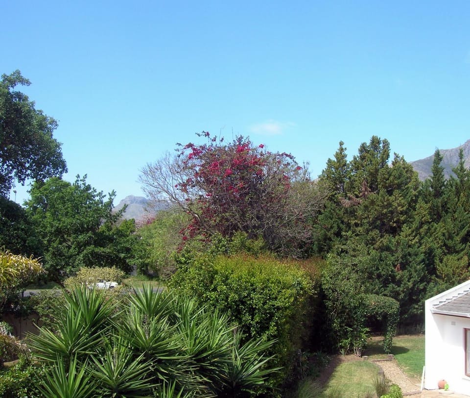 Garden, Mountain view