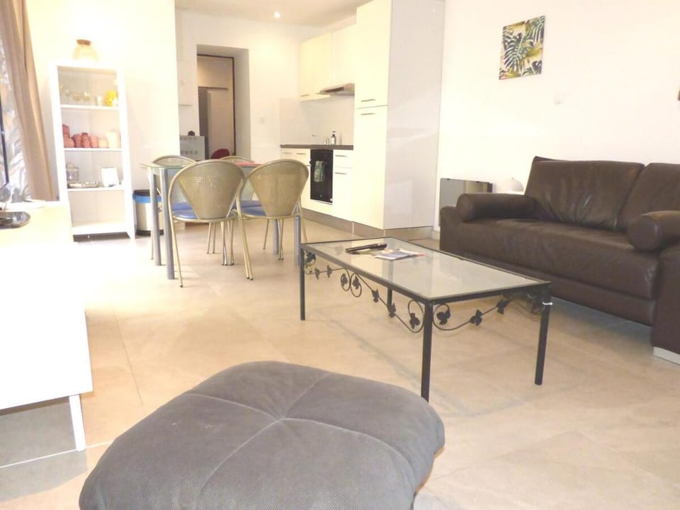 "Le Patio" Meublé Tourisme 3*Garage optionnel. Apartment in Béziers
