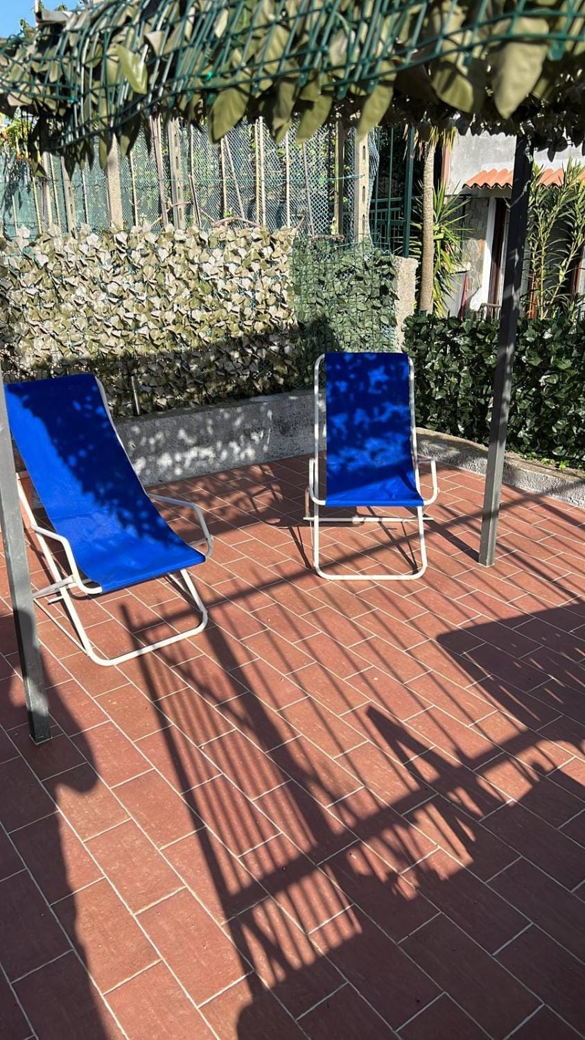 Garden, sunbed