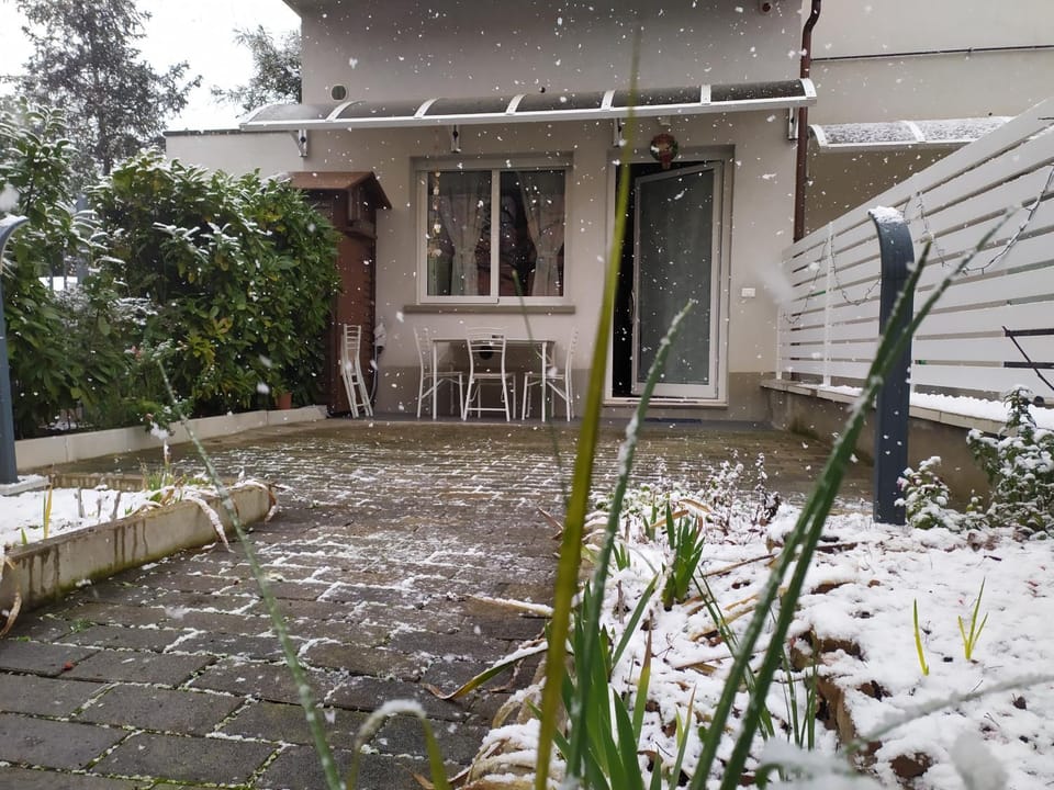 Property building, Facade/entrance, Winter, Garden, Garden, Garden view, Garden view