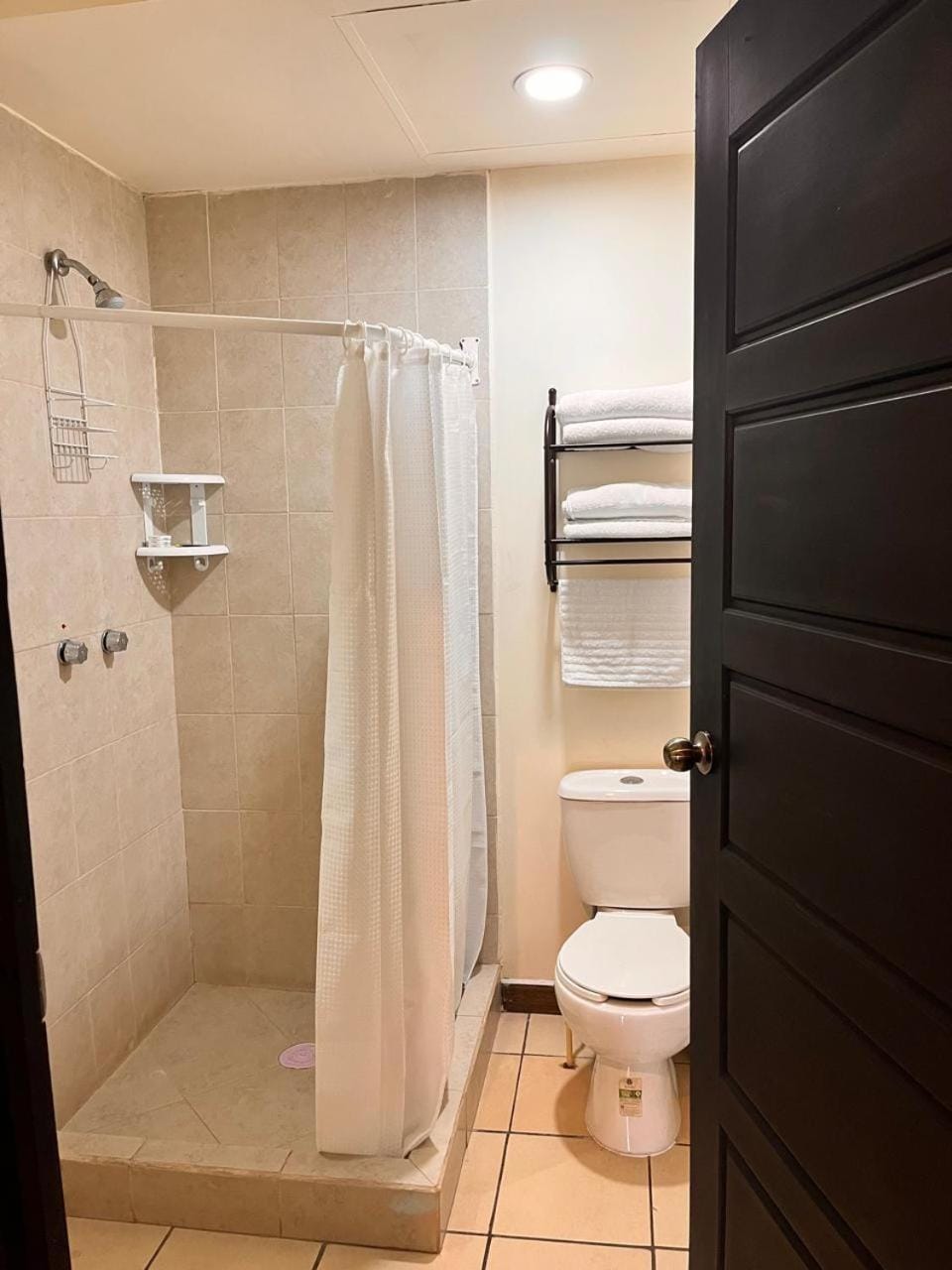 Shower, Bathroom, towels