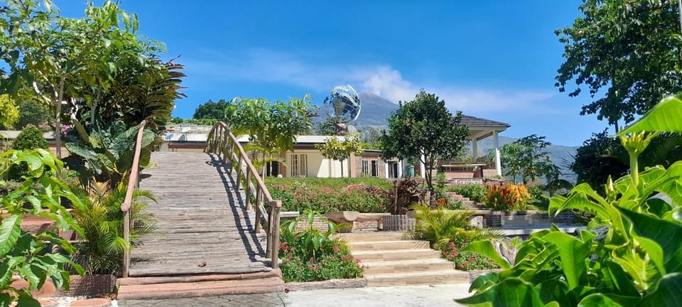 Property building, Garden view