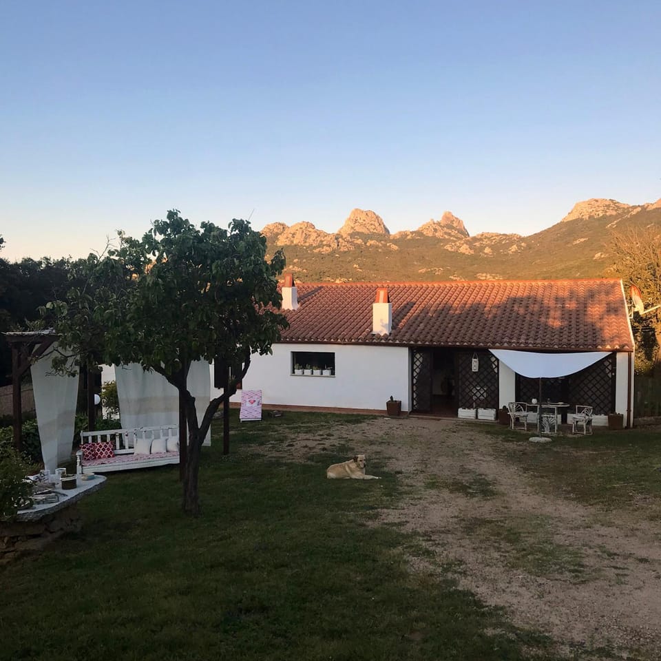 Property building, Garden, Sunset