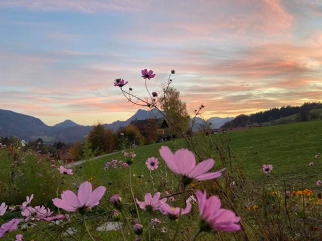Guesthouse Paradies Samerberg House in Bavaria