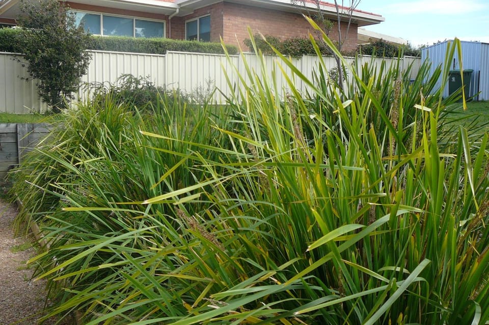 Banksia Waters House in Lakes Entrance