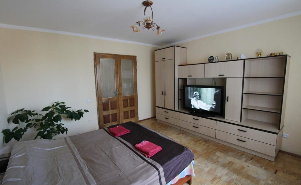 Apartment on Lincoln Street Apartment in Lviv