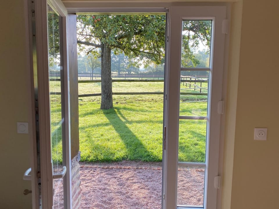Natural landscape, Garden view