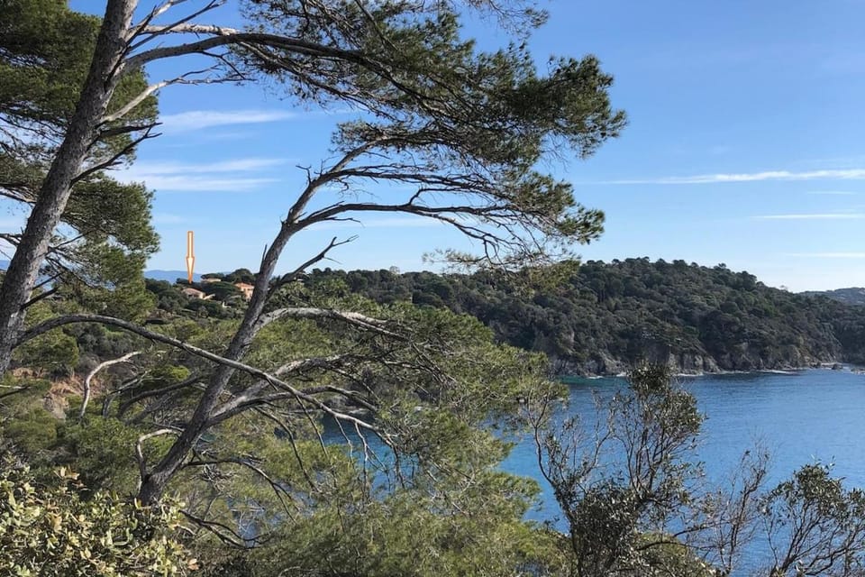 Villa Lilause Villa in Hyères