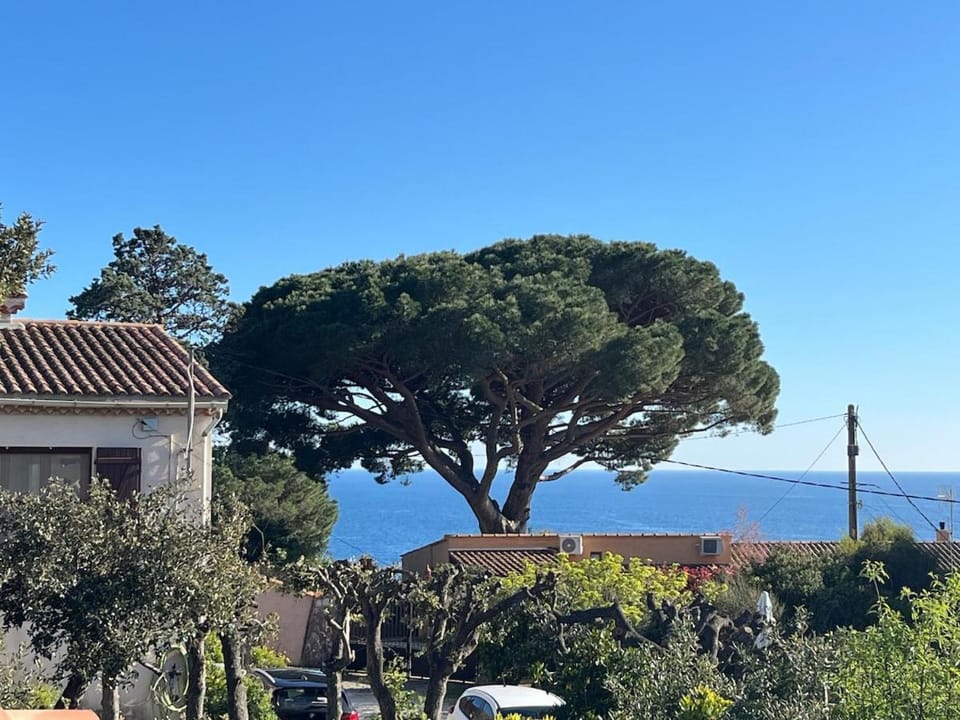 Villa Lilause Villa in Hyères