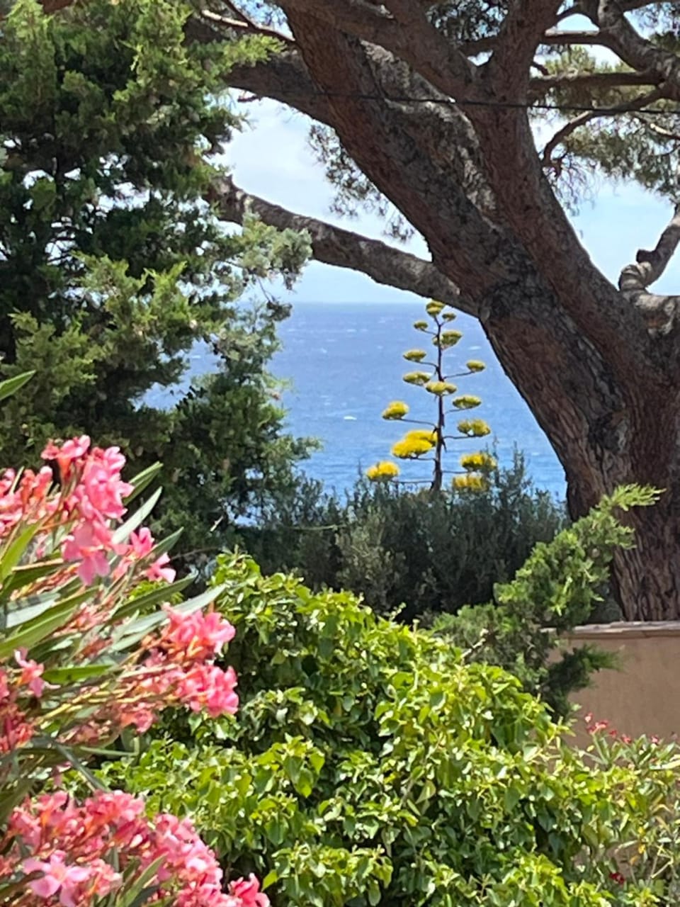 Sea view