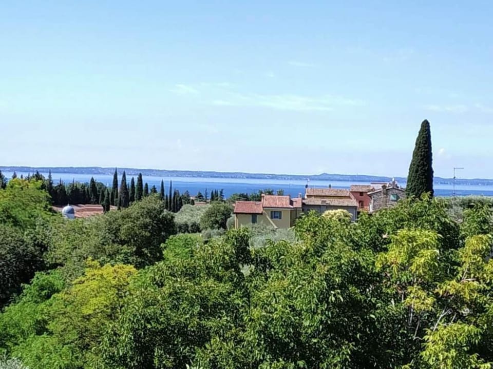 Lake view