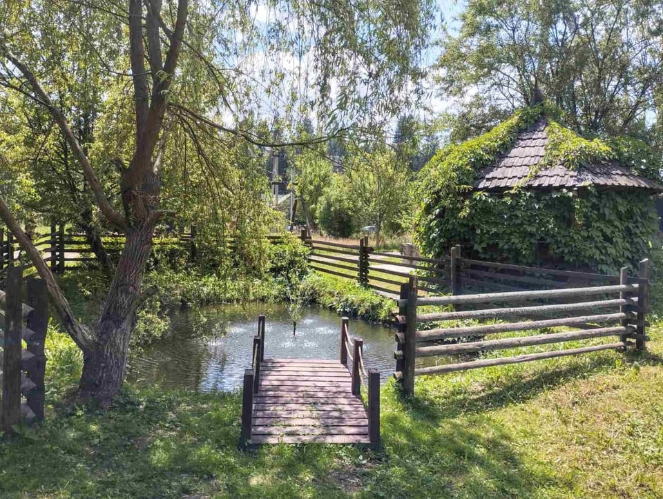 Spring, Day, Natural landscape, Fishing, Garden