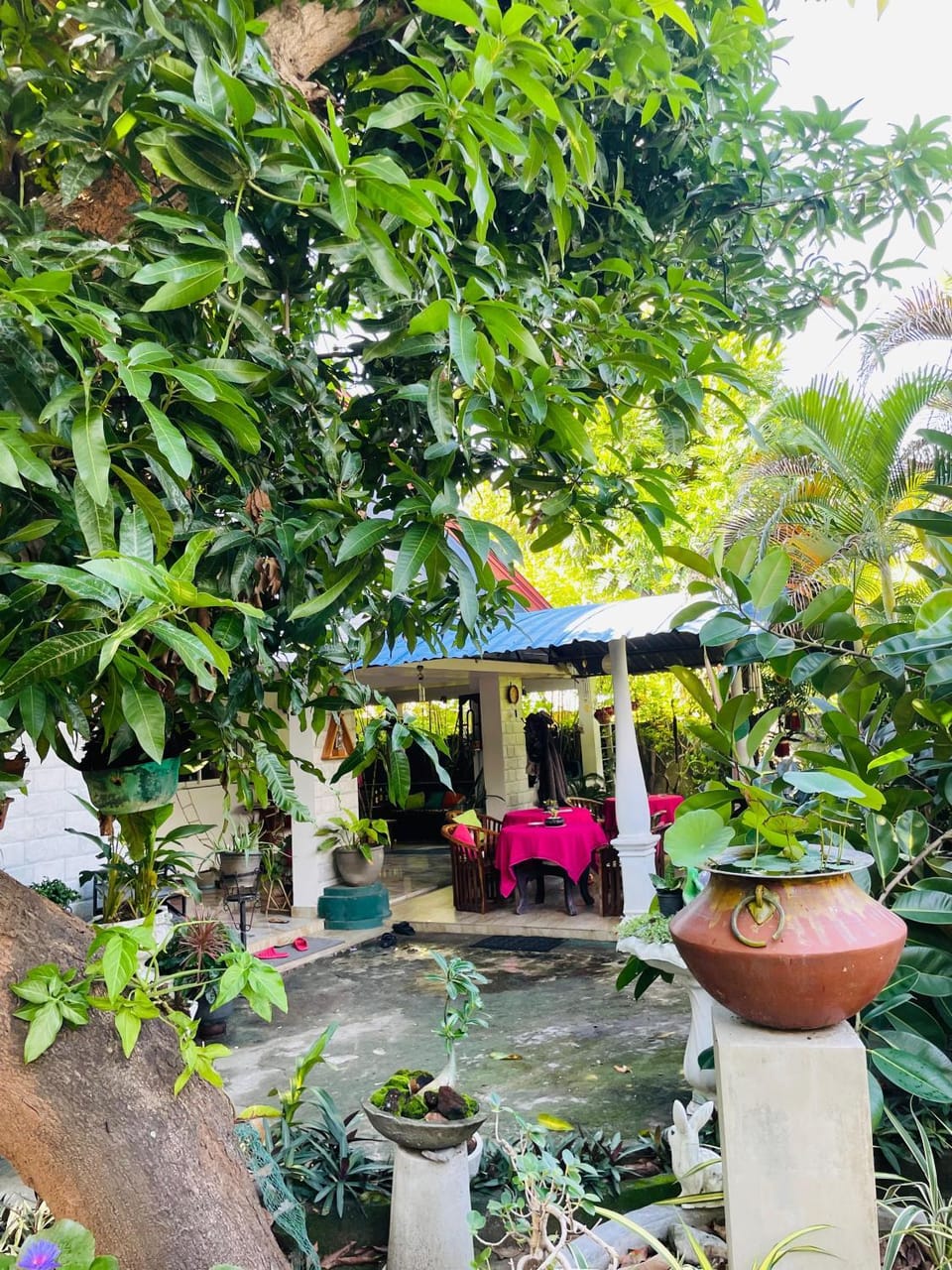Rock Cascade Tourist Home & Cookery School Bed and Breakfast in Central Province
