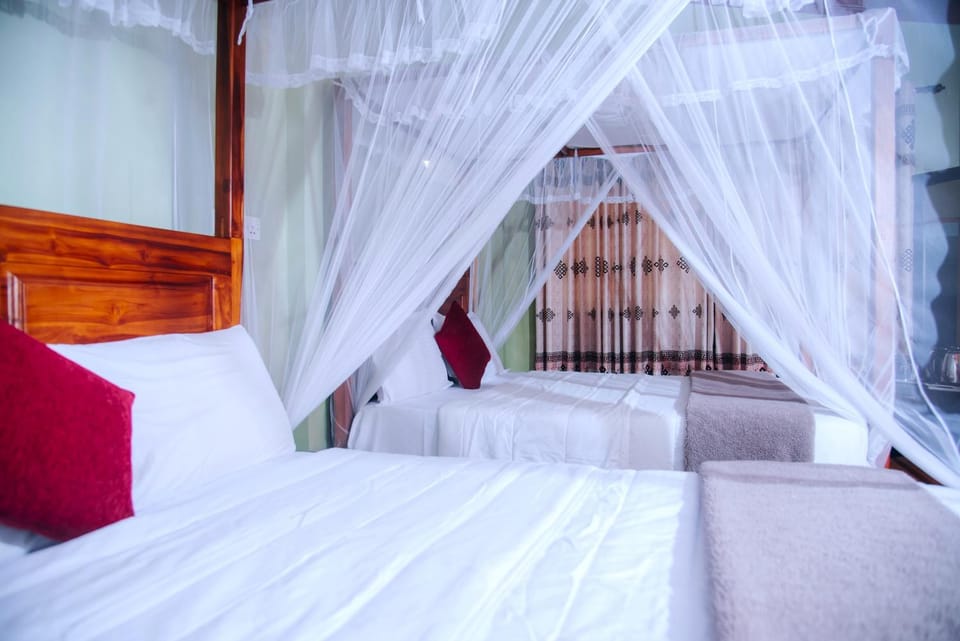 Bed, Photo of the whole room