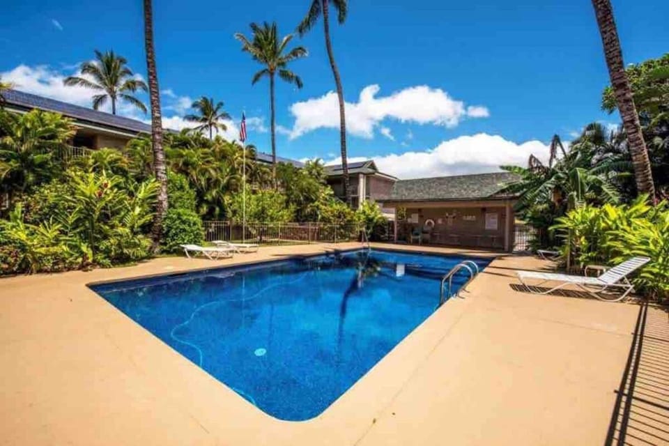 Pool view, Swimming pool, sunbed