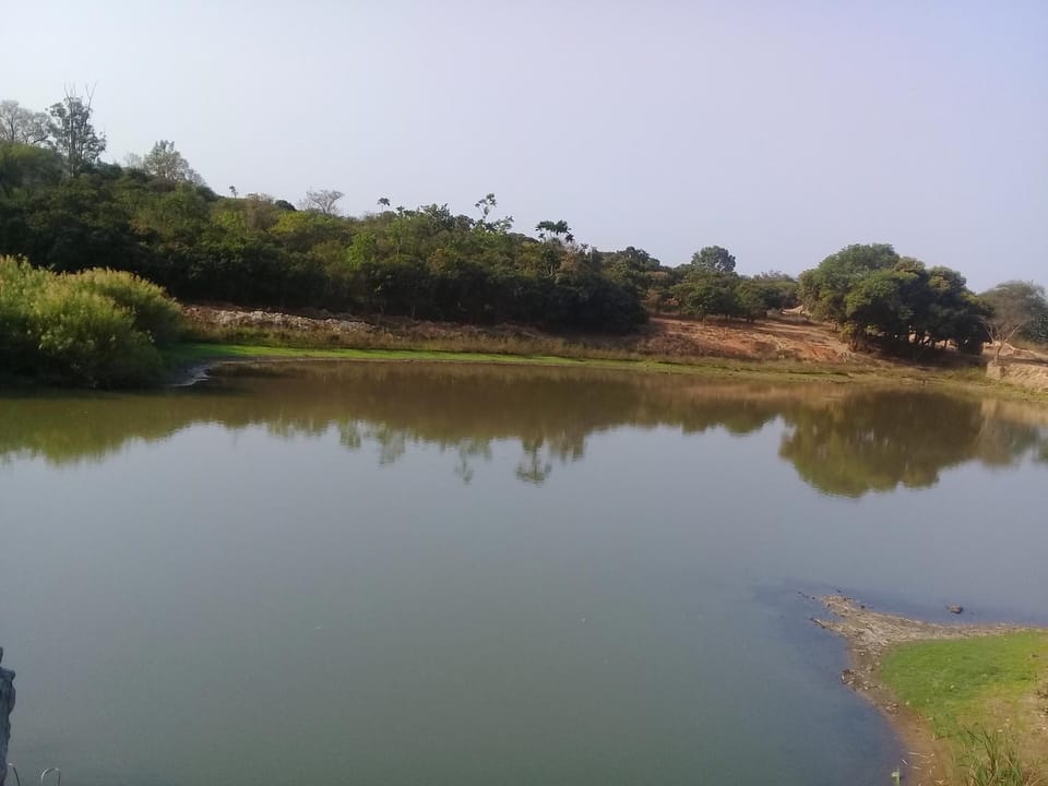 Natural landscape, Lake view
