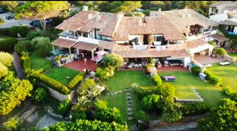 Bird's eye view, Garden view