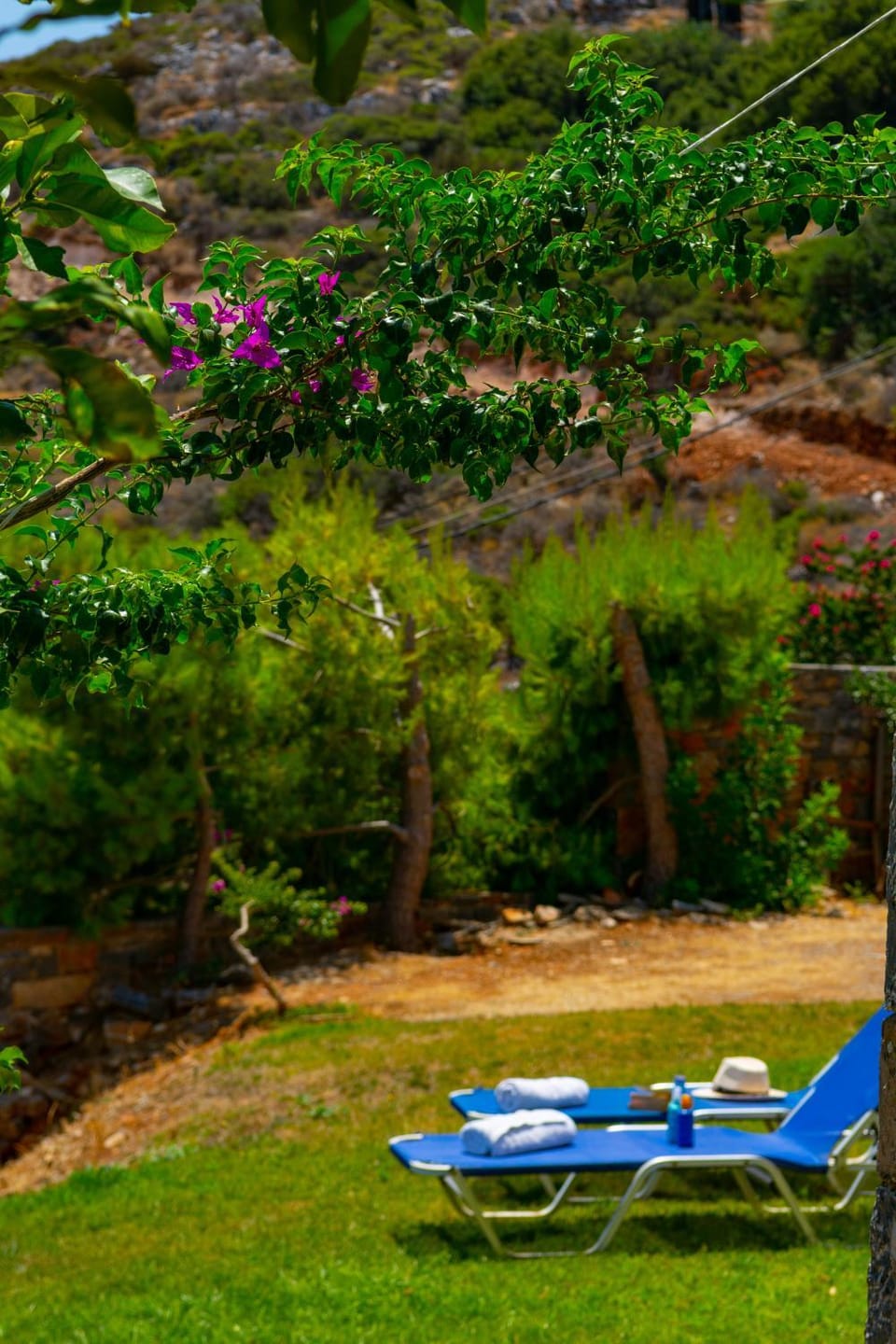 Garden, sunbed