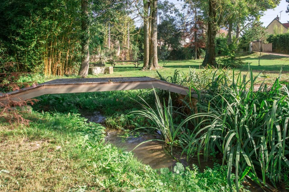 River view