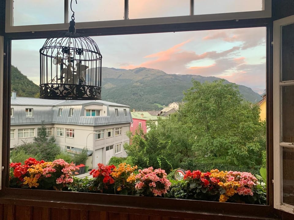 View (from property/room)