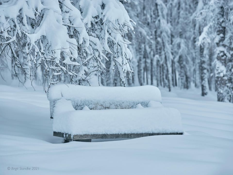 Staff, Natural landscape, Winter, Hiking