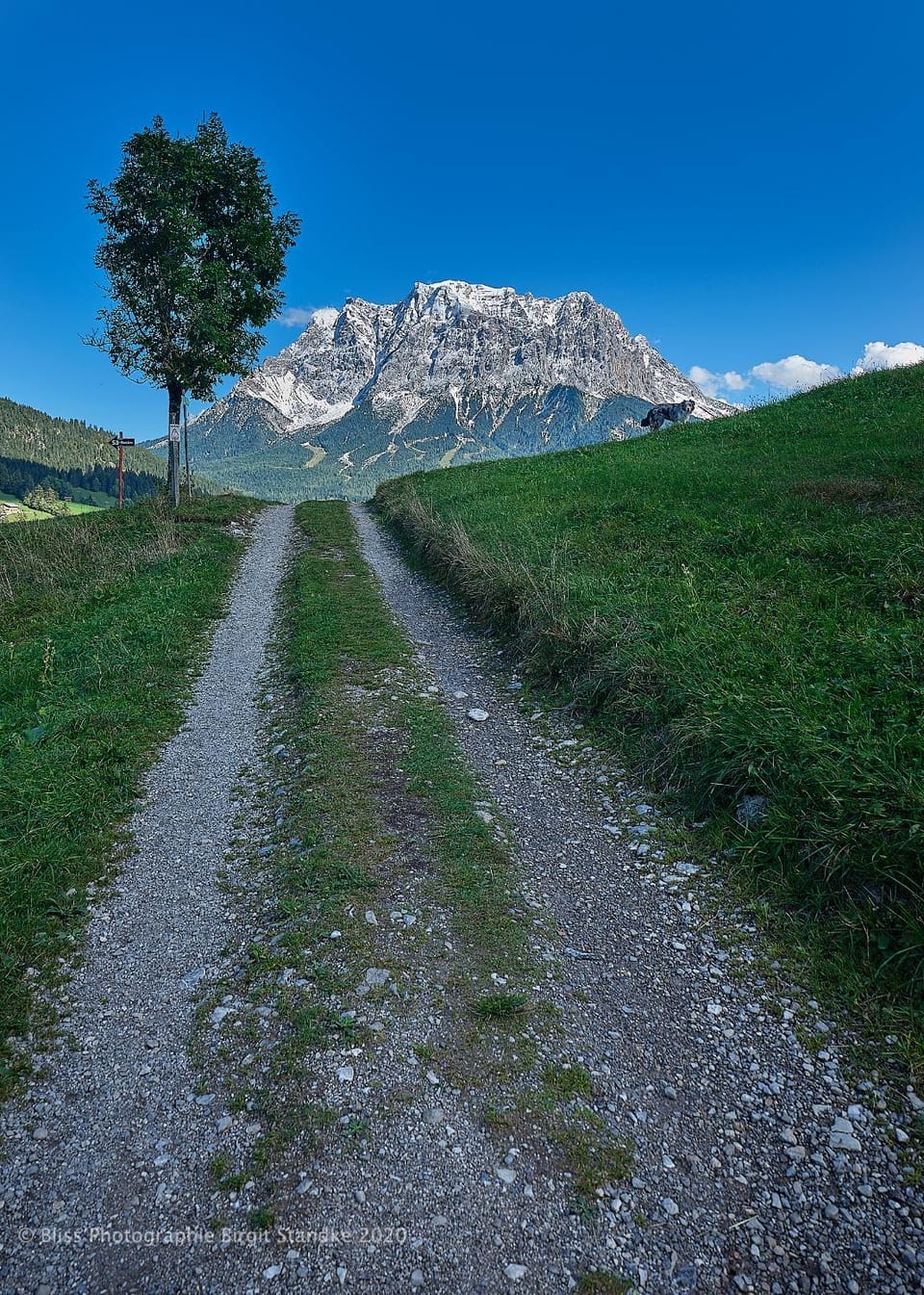 Hiking