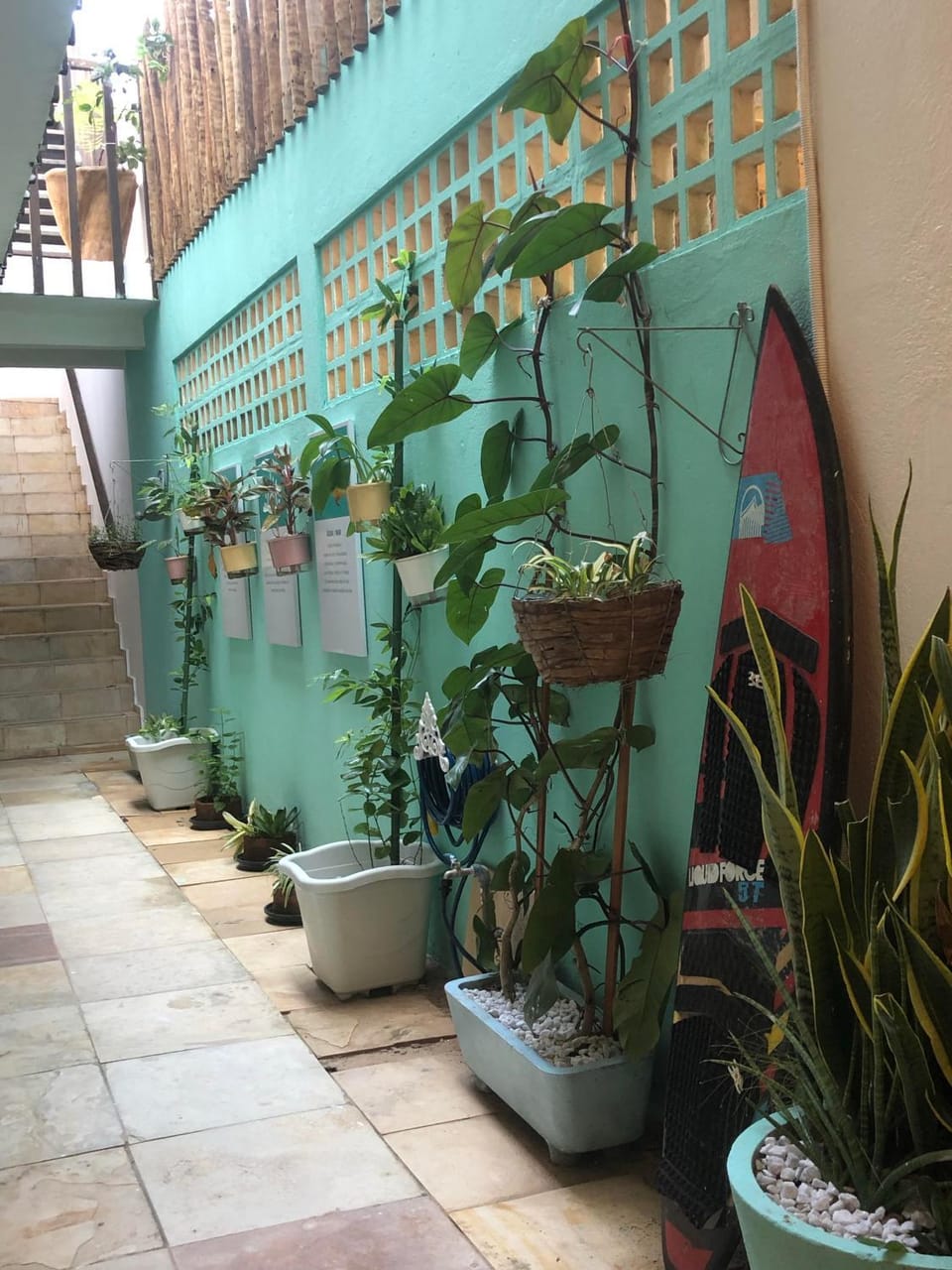 Garden view