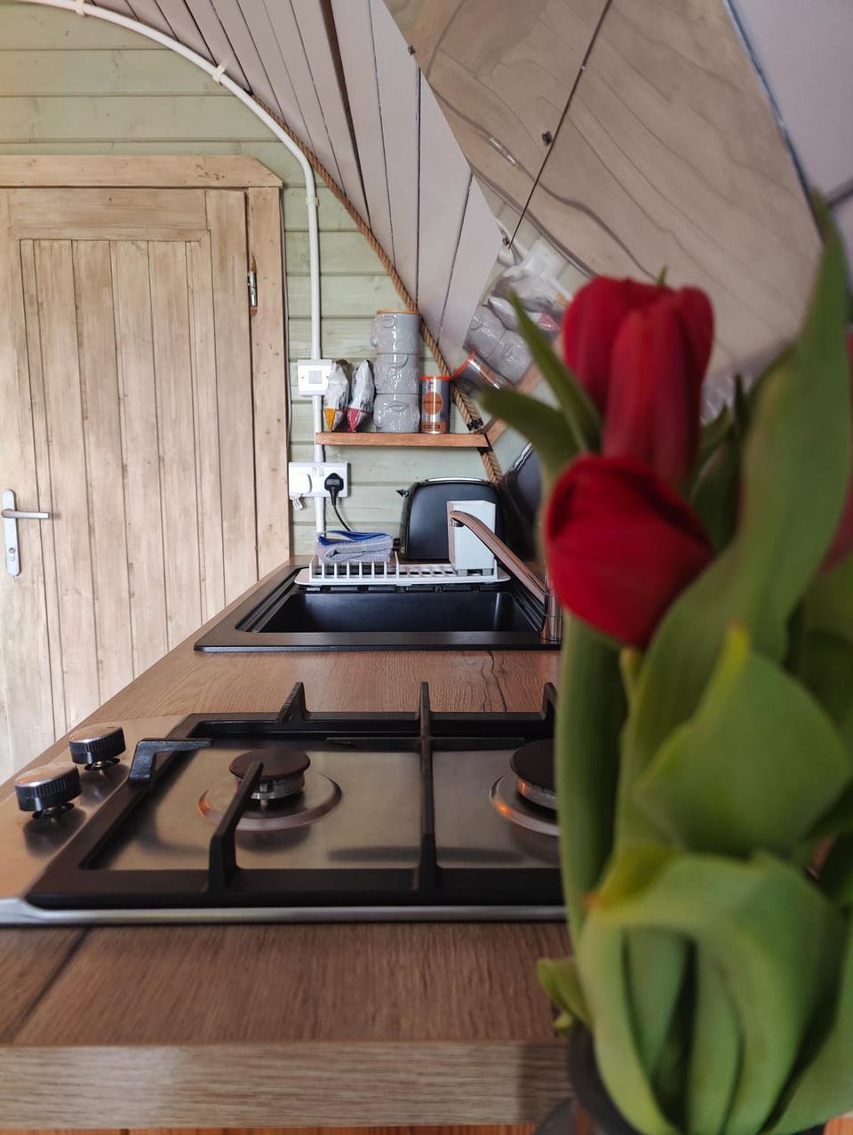 Tan-y-Dderwen Pod Campground/ 
RV Resort in Wales