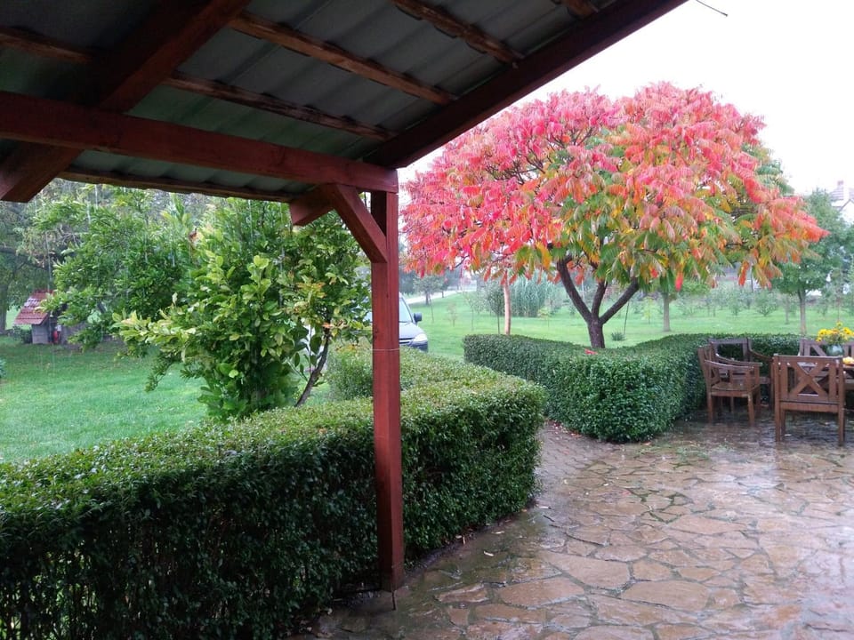 Gergely Tanya Bed and Breakfast in Hungary