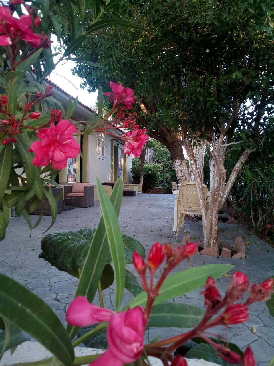 Garden, Balcony/Terrace