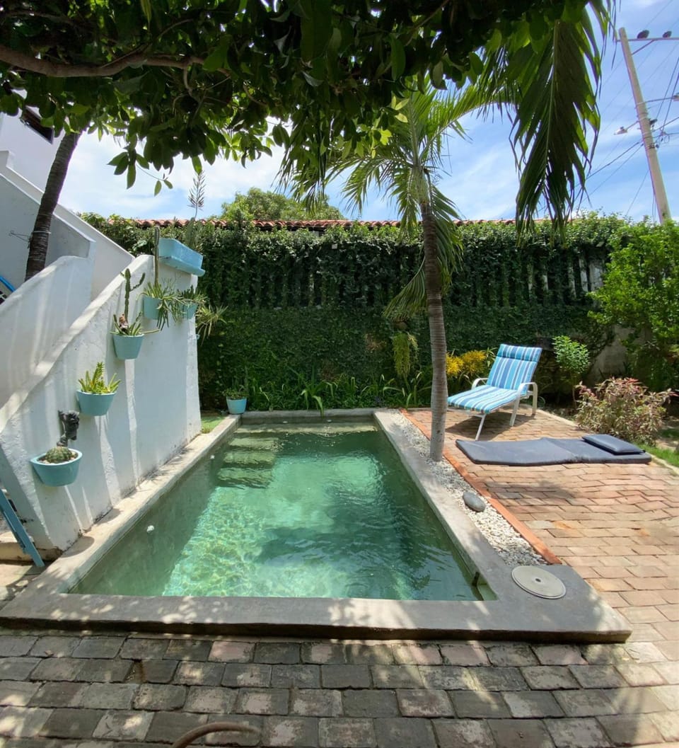 Garden, Swimming pool