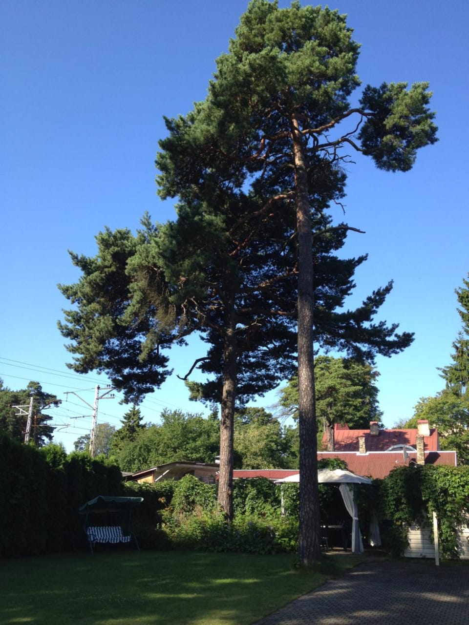 Natural landscape, Garden view