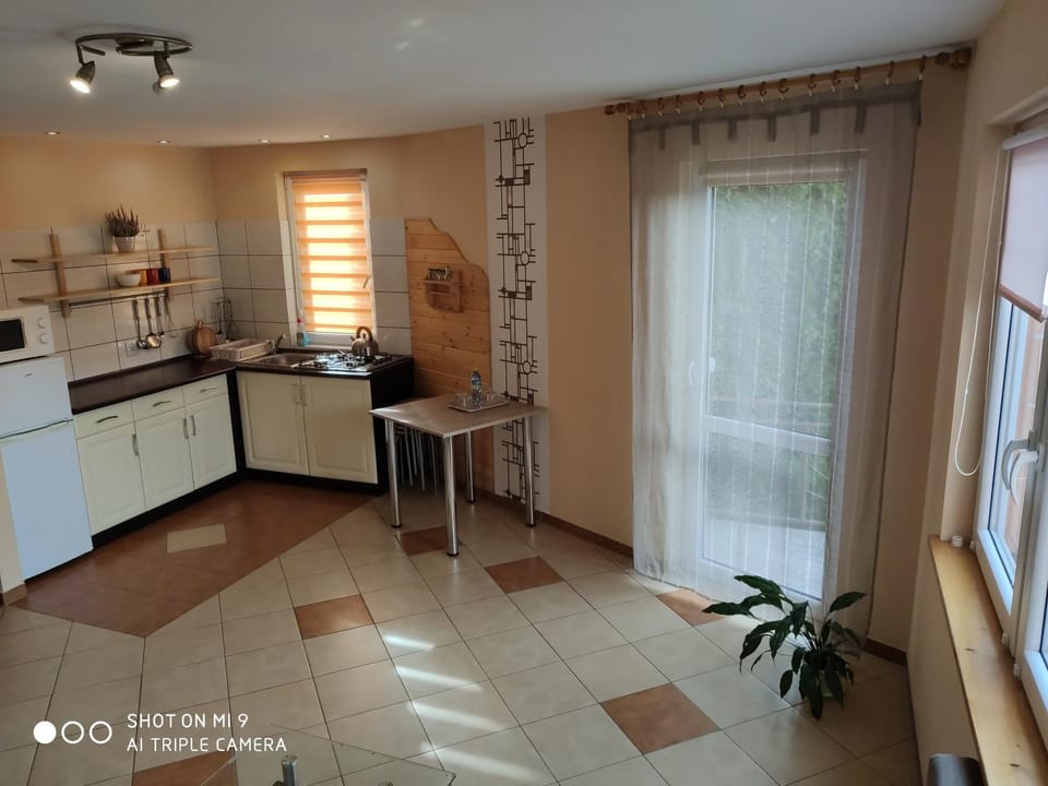 Coffee/tea facilities, Balcony/Terrace, Kitchen or kitchenette, Living room, Photo of the whole room, Dining area