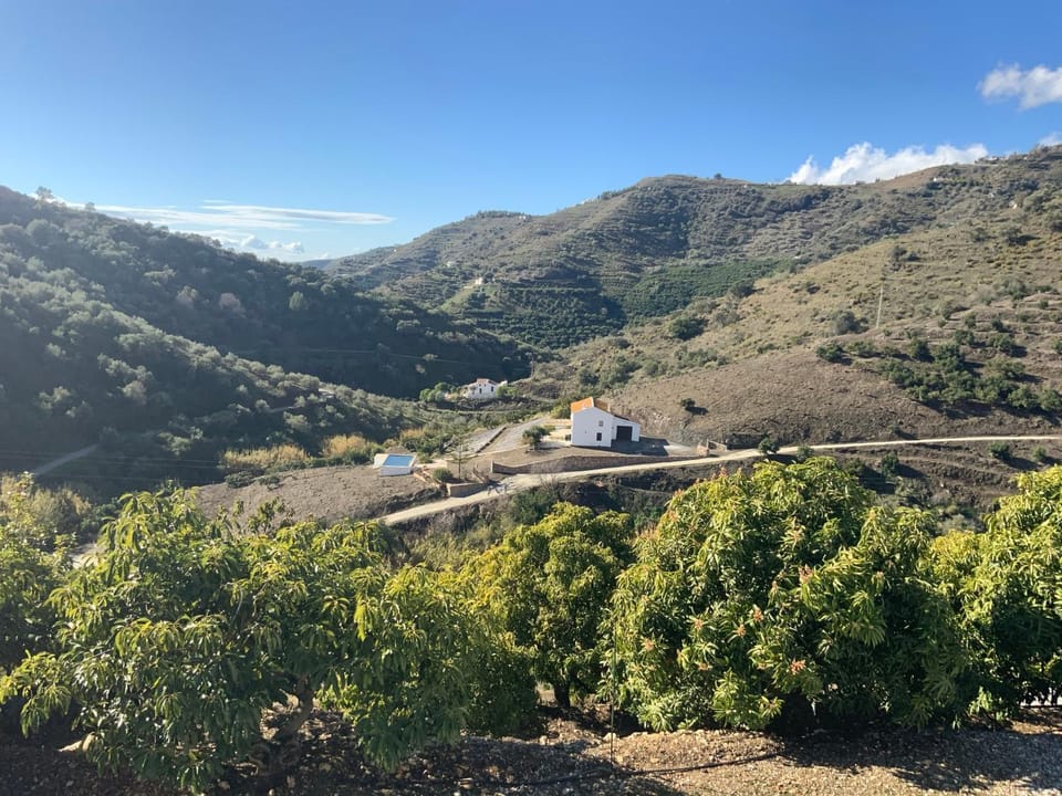 Neighbourhood, Mountain view